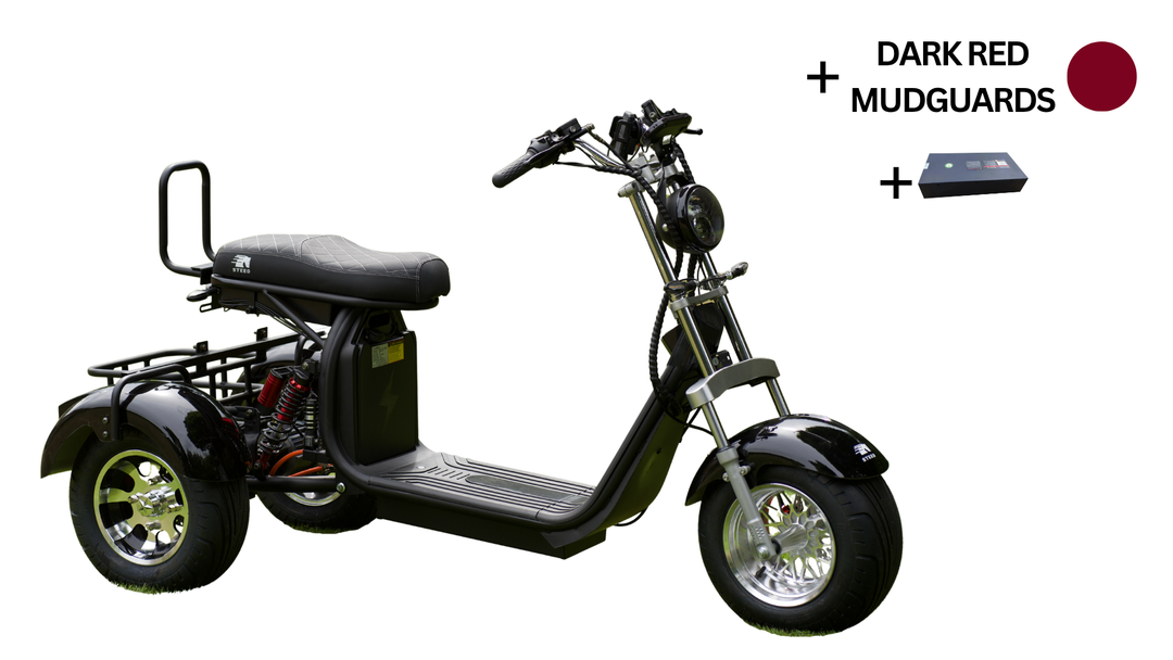 Steed Trike