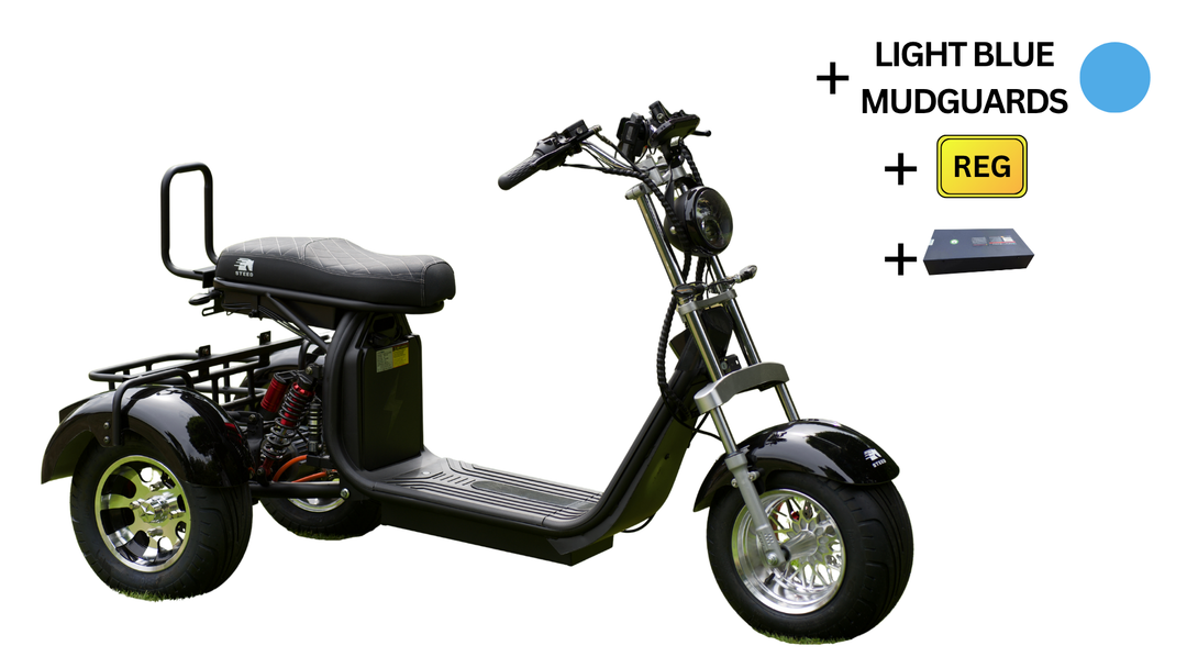 Steed Trike