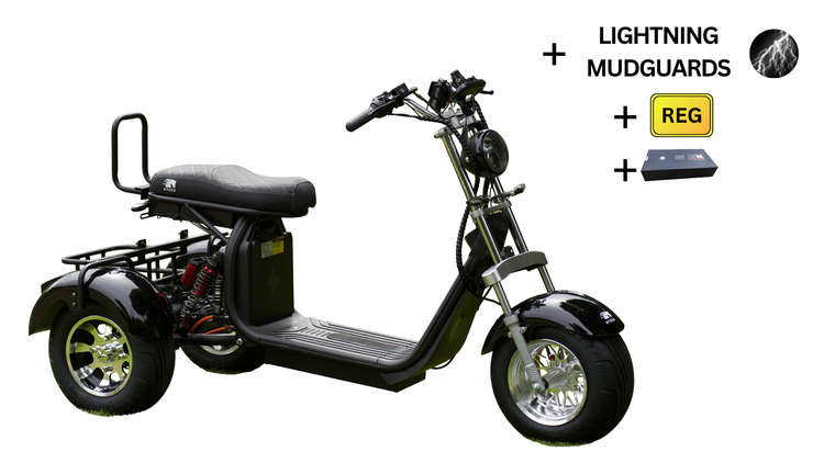 Steed Trike