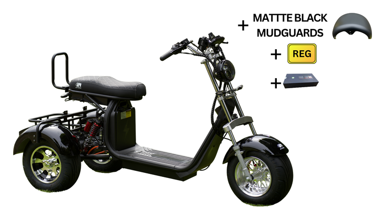 Steed Trike