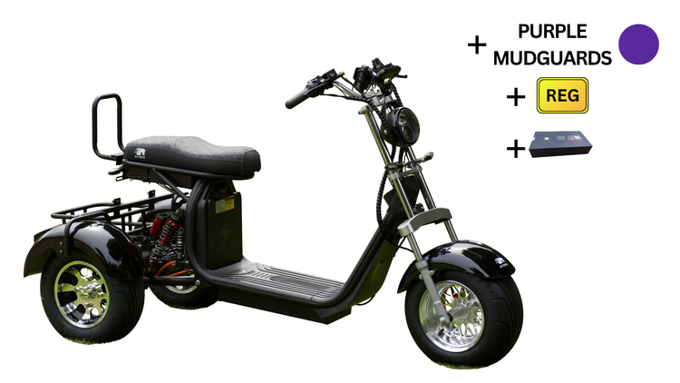 Steed Trike