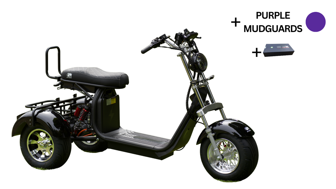 Steed Trike