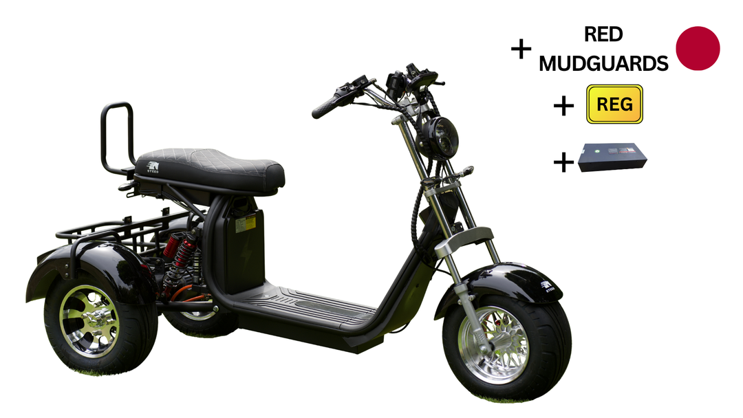 Steed Trike