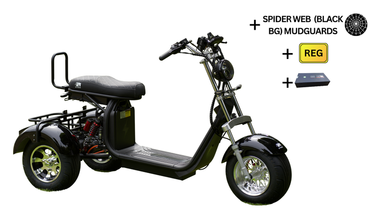 Steed Trike