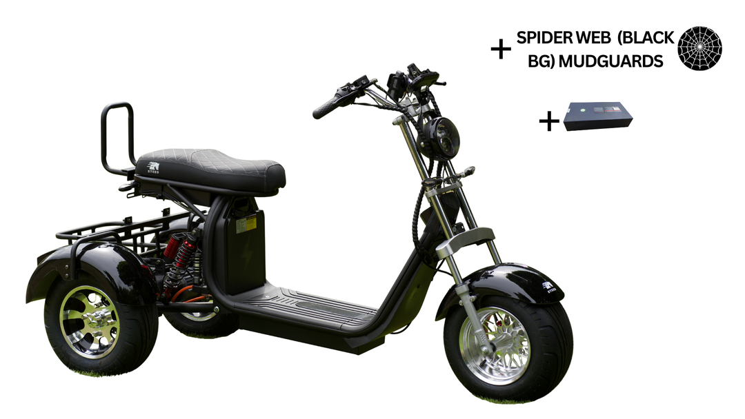 Steed Trike
