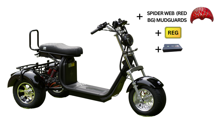 Steed Trike