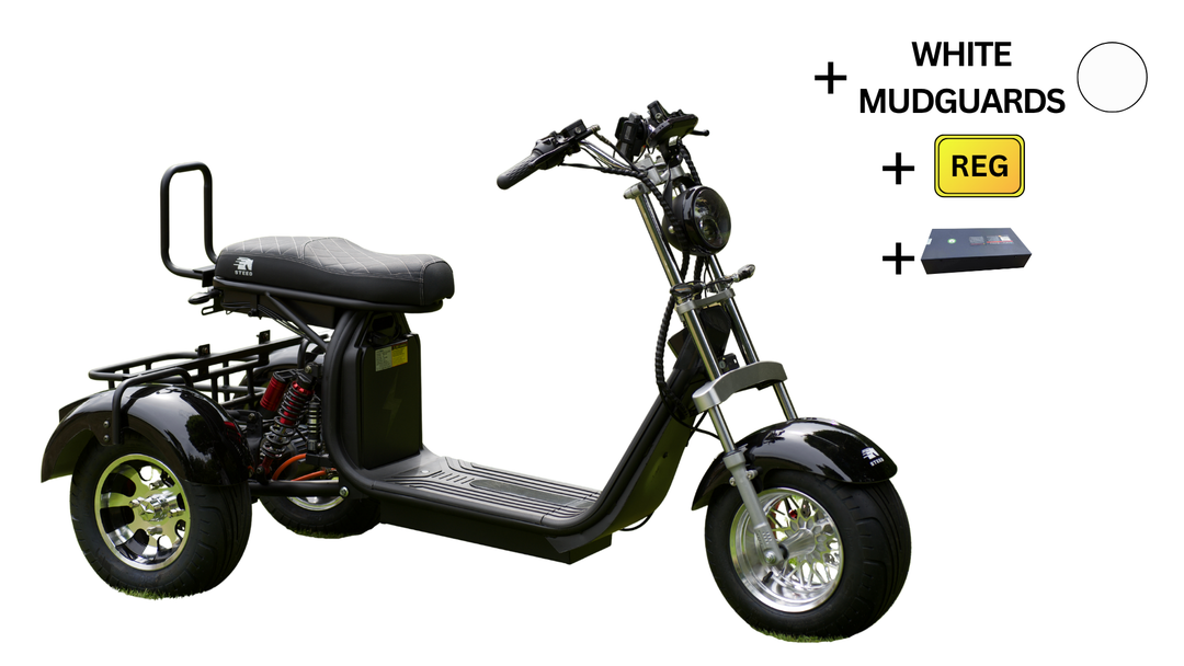 Steed Trike
