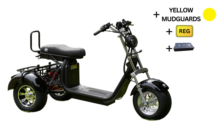 Steed Trike