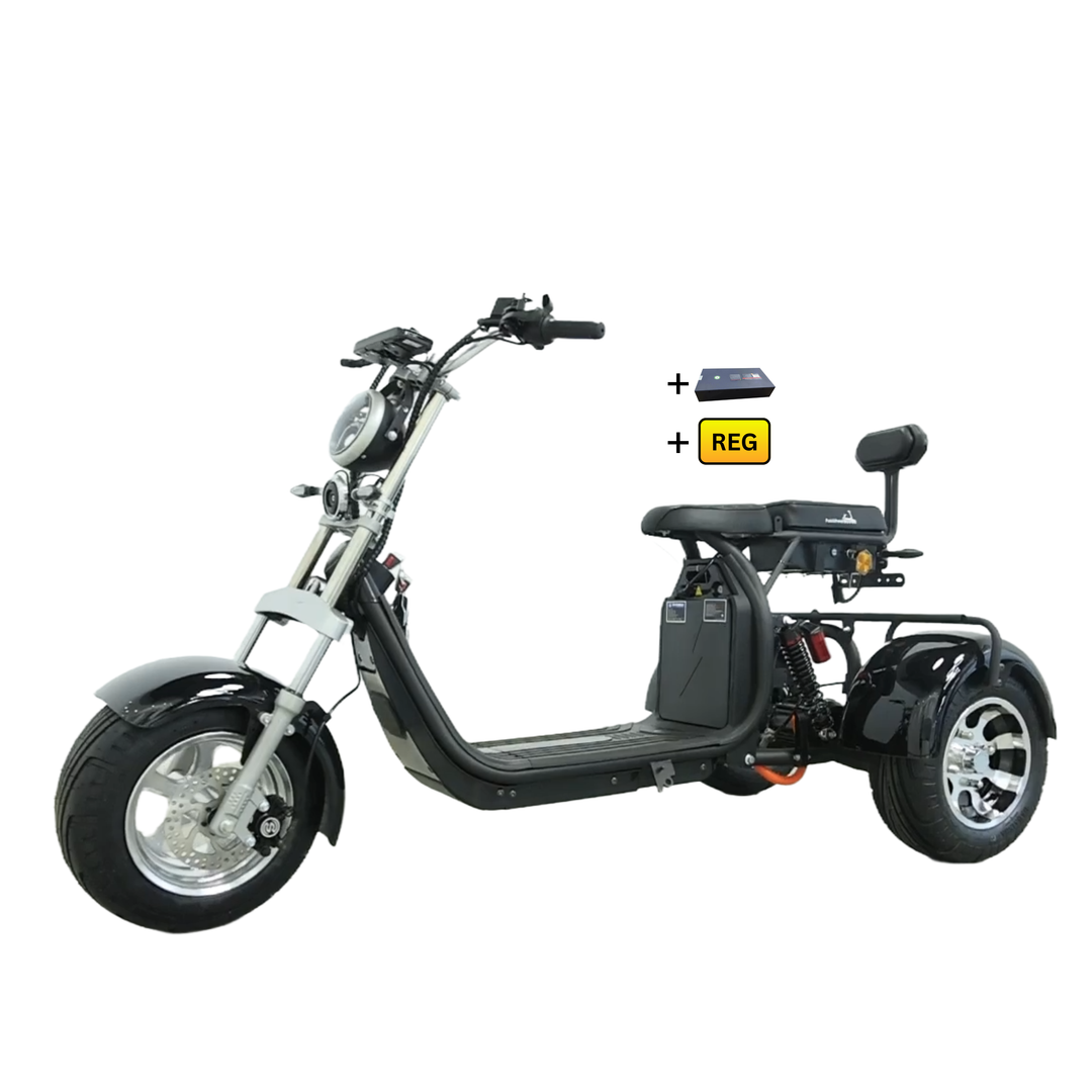 Steed Trike