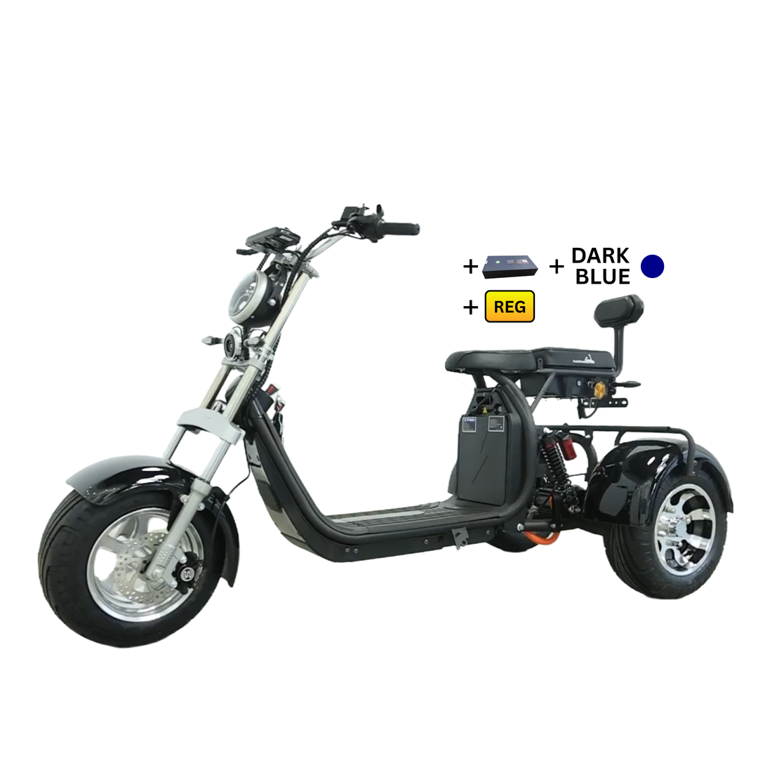 Steed Trike