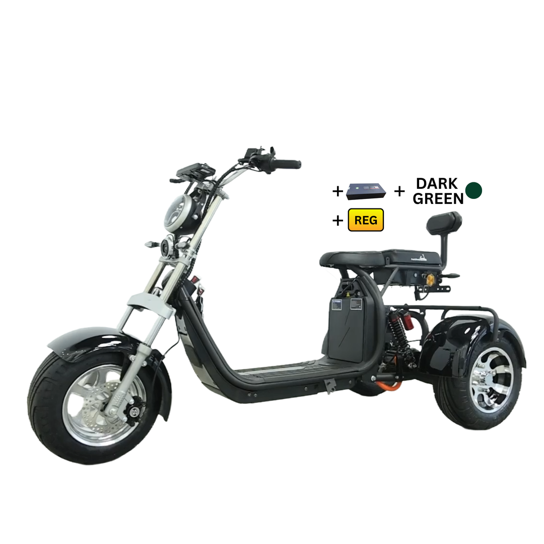 Steed Trike
