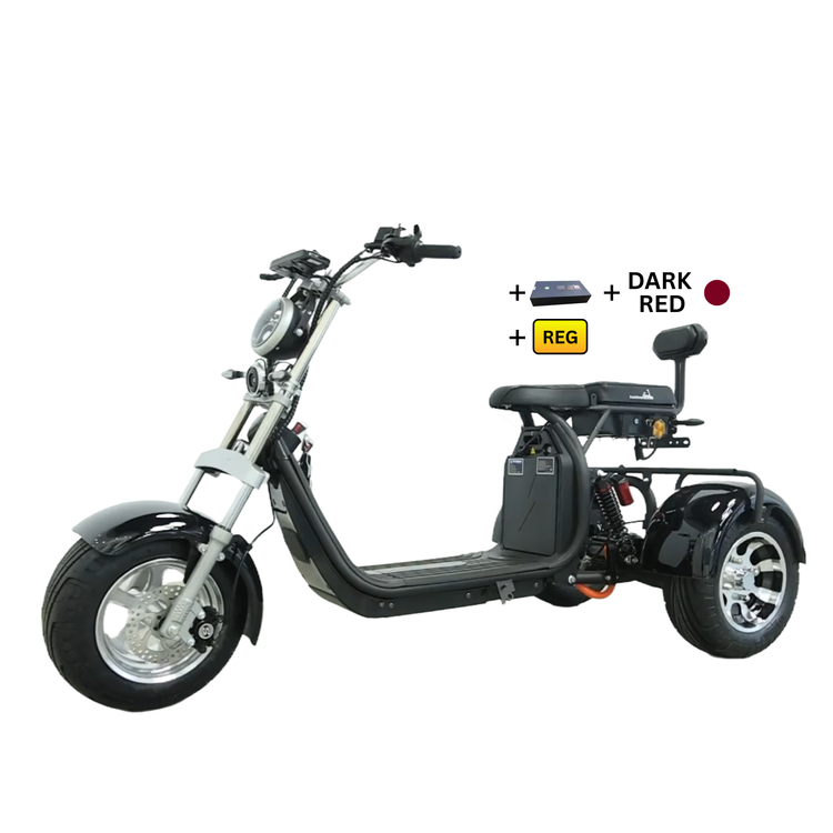 Steed Trike