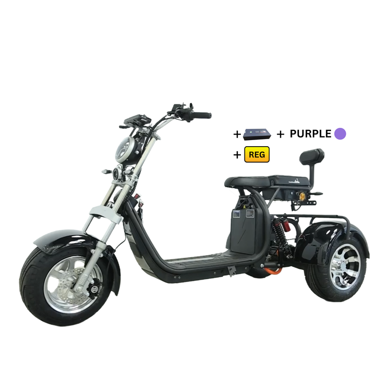 Steed Trike