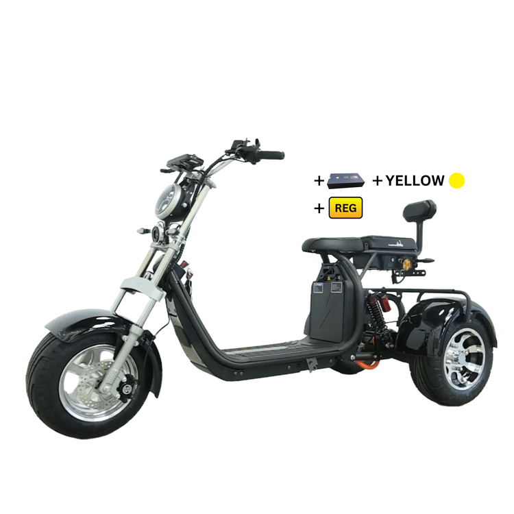 Steed Trike