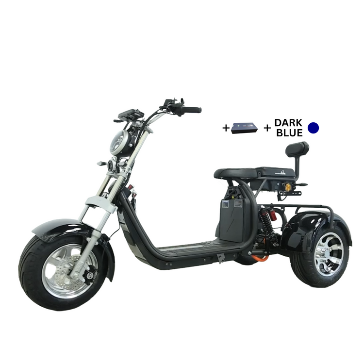 Steed Trike