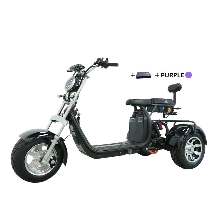 Steed Trike