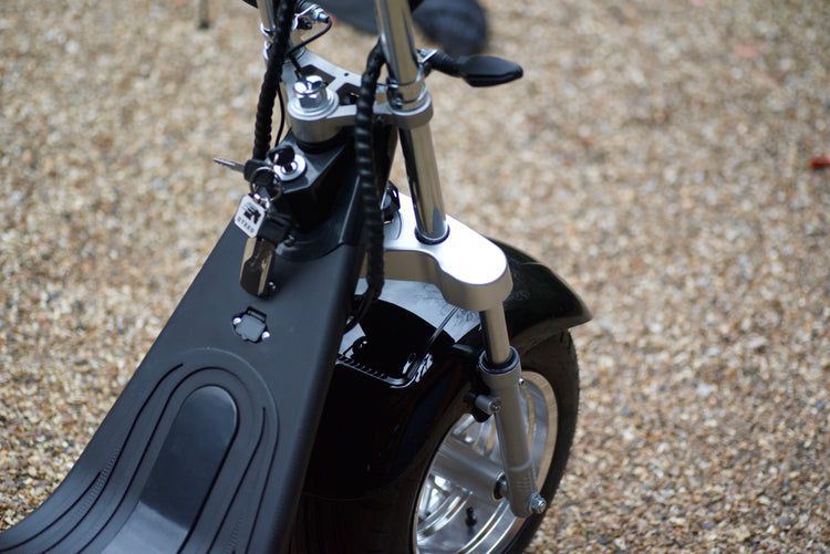 Steed Trike