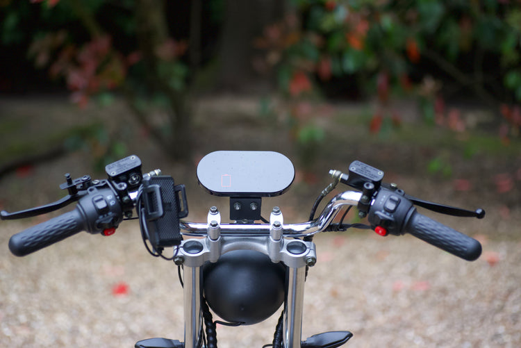 Steed Trike