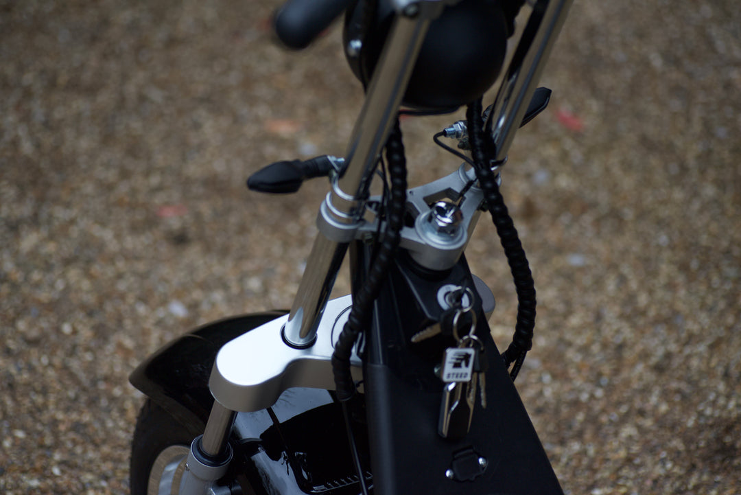 Steed Trike