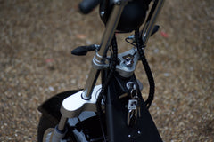 Steed Trike