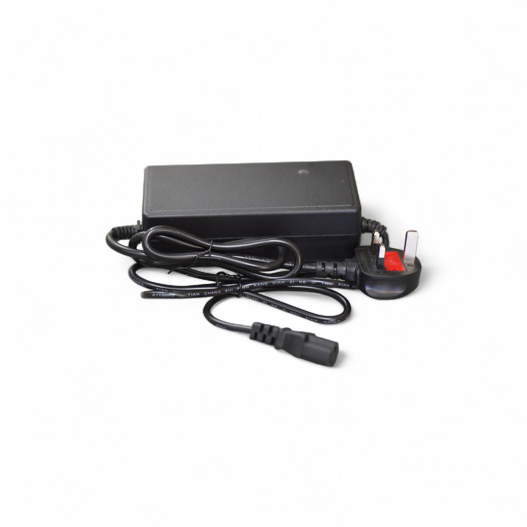 Charger for Steed Trike