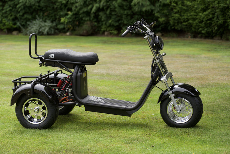 Steed Trike