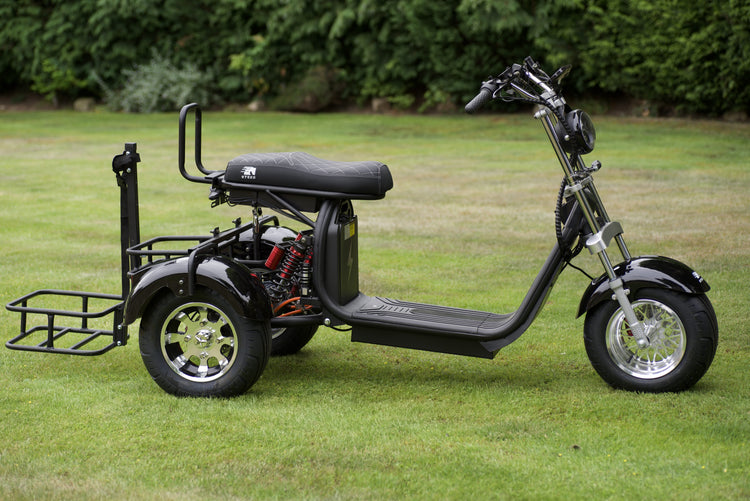 Steed Golf Trike