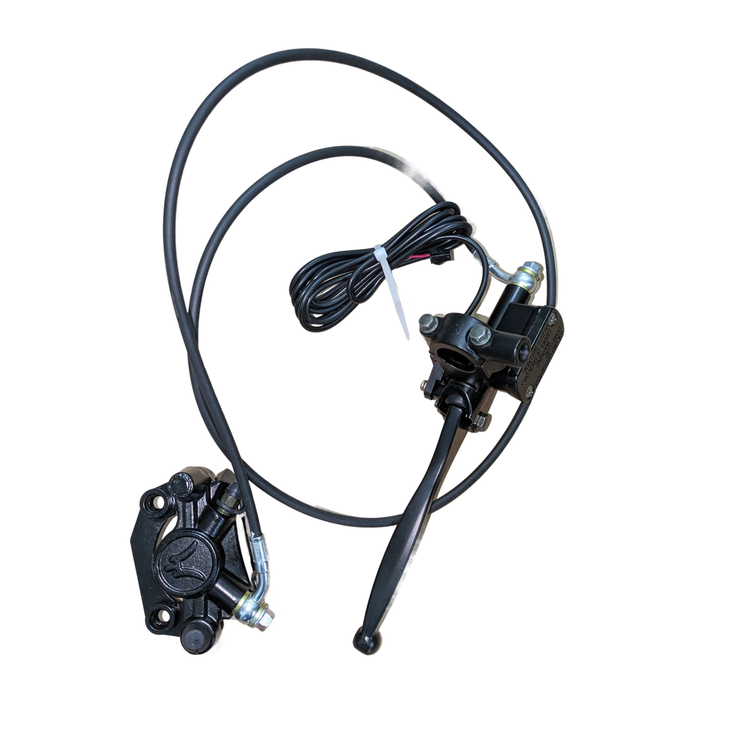 Rear Brake Assembly