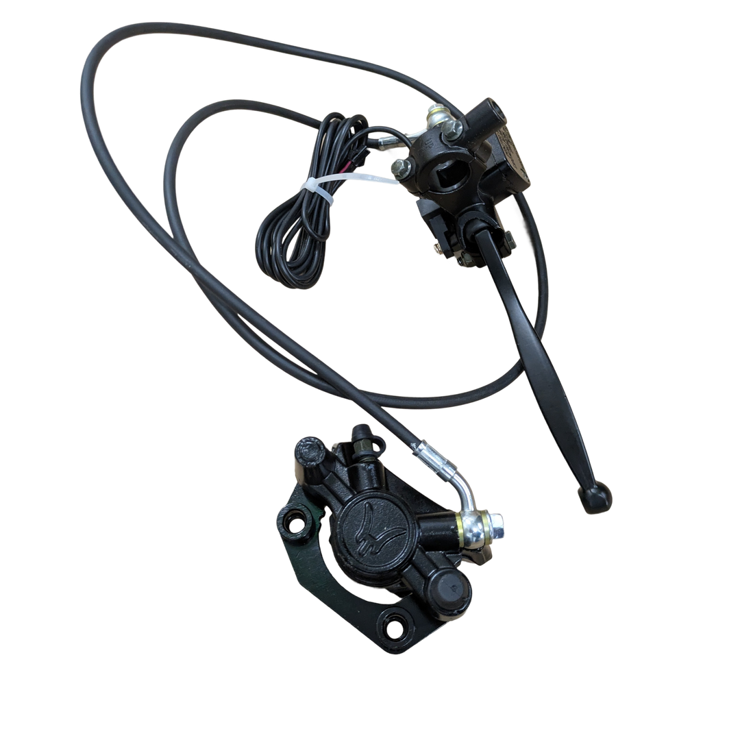 Rear Brake Assembly