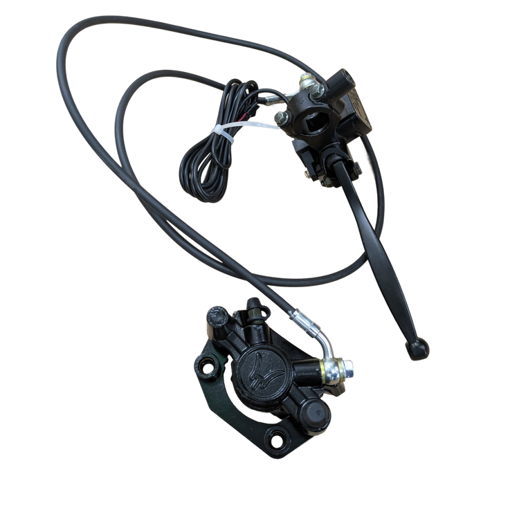 Rear Brake Assembly