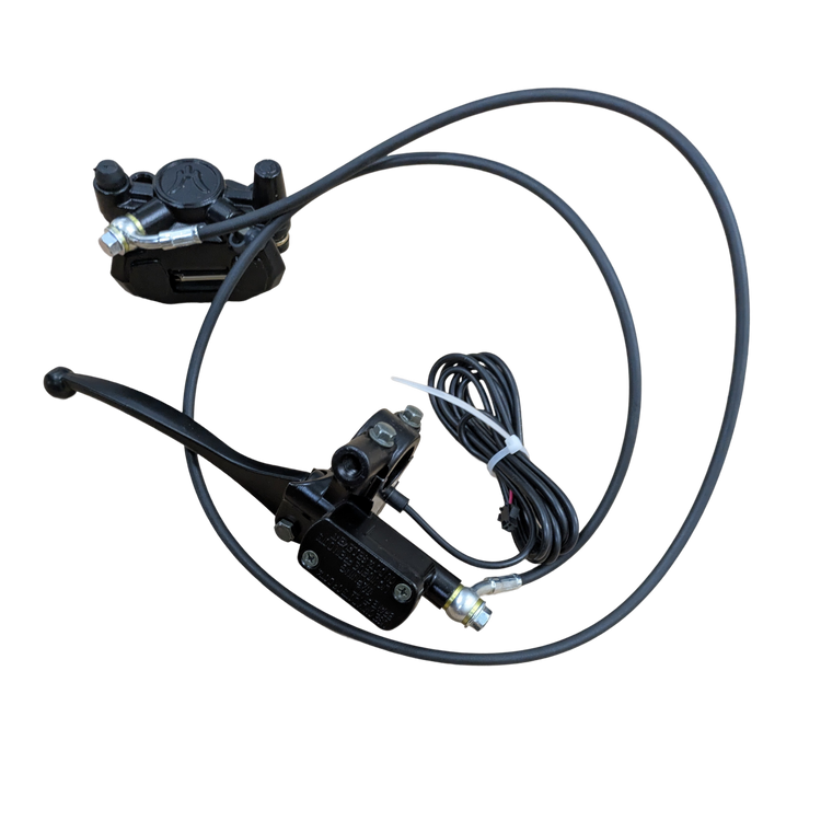 Rear Brake Assembly