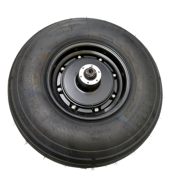 Motor and Rear Wheel for Labicana Pro