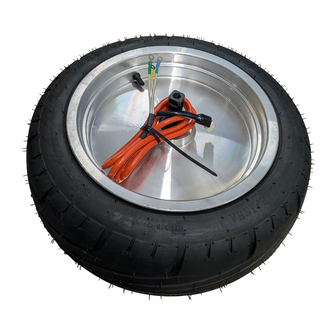 Motor and Rear Wheel for M1 Chopper