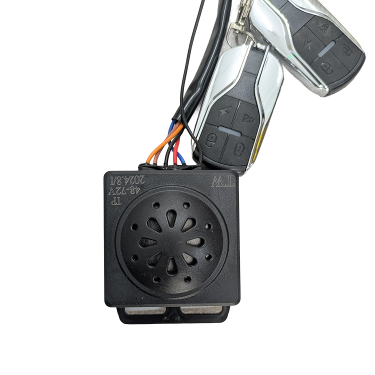 Replacement Keys and Alarm for Labicana Max