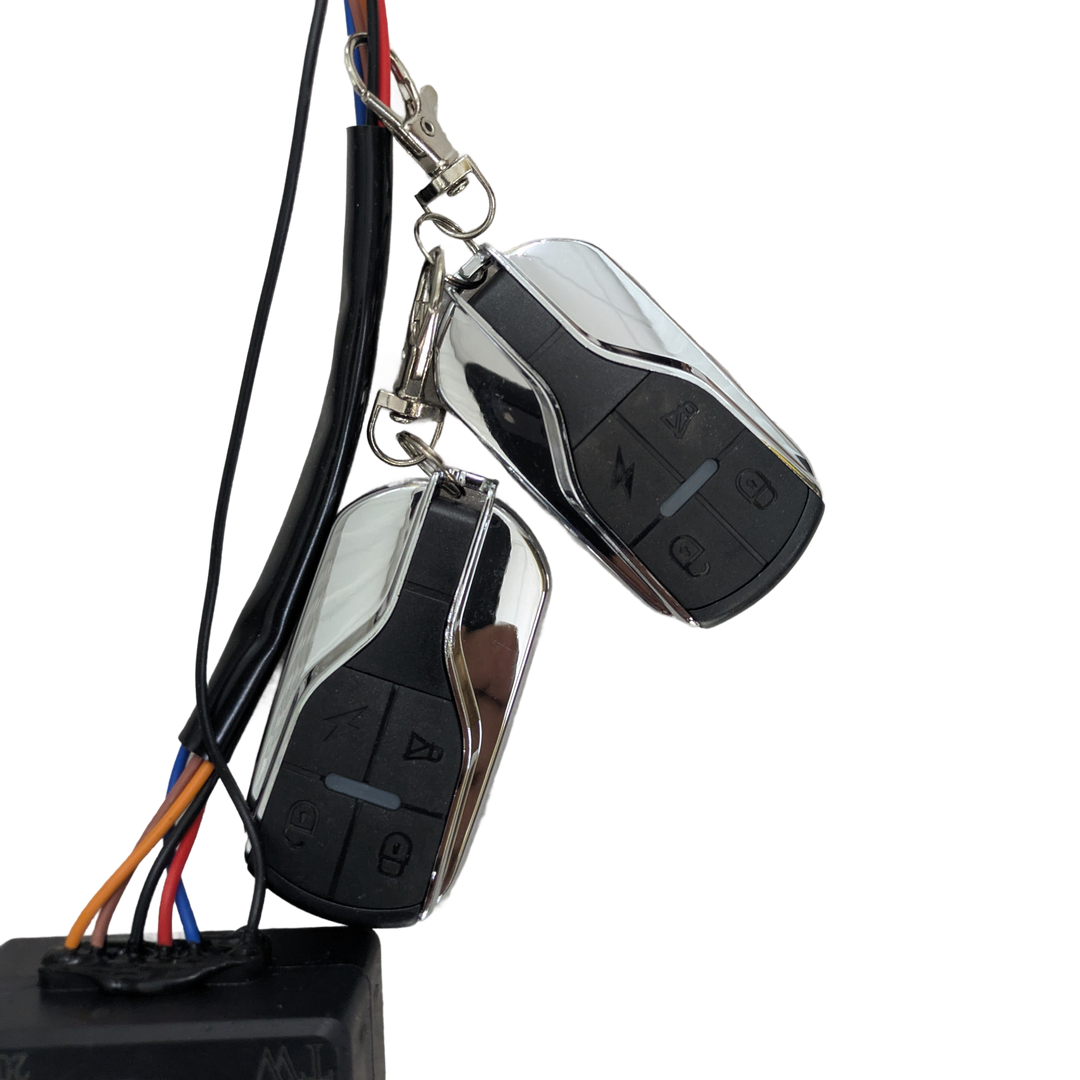 Replacement Keys and Alarm for Labicana Max