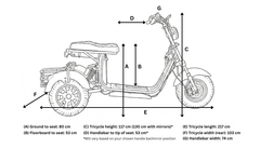 Steed Trike
