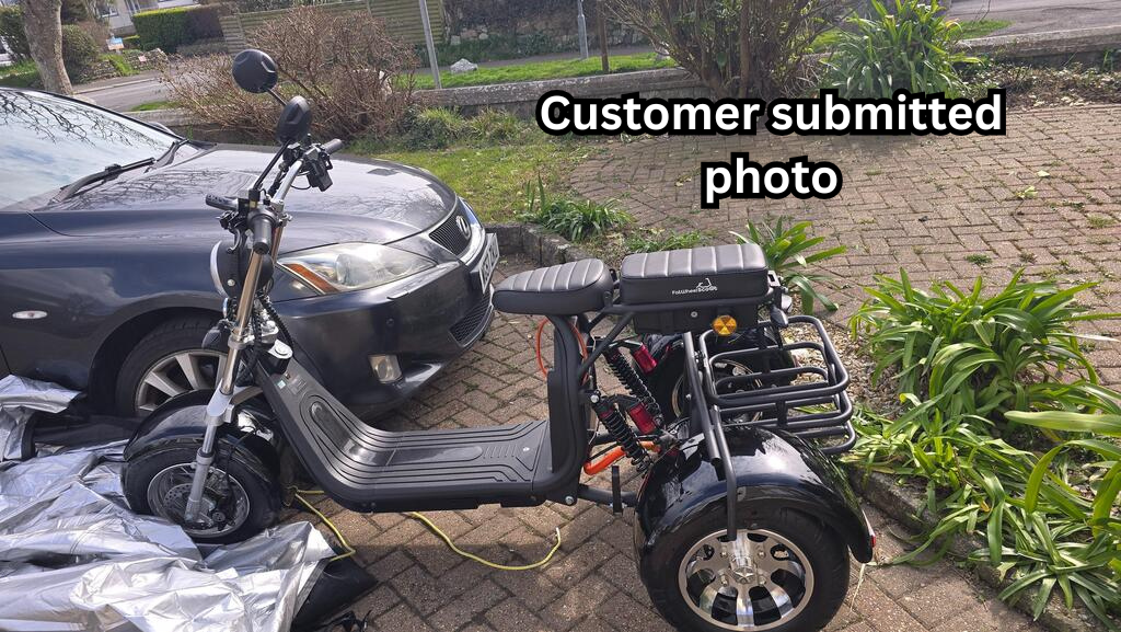 Steed Trike