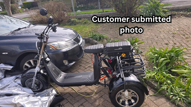Steed Trike