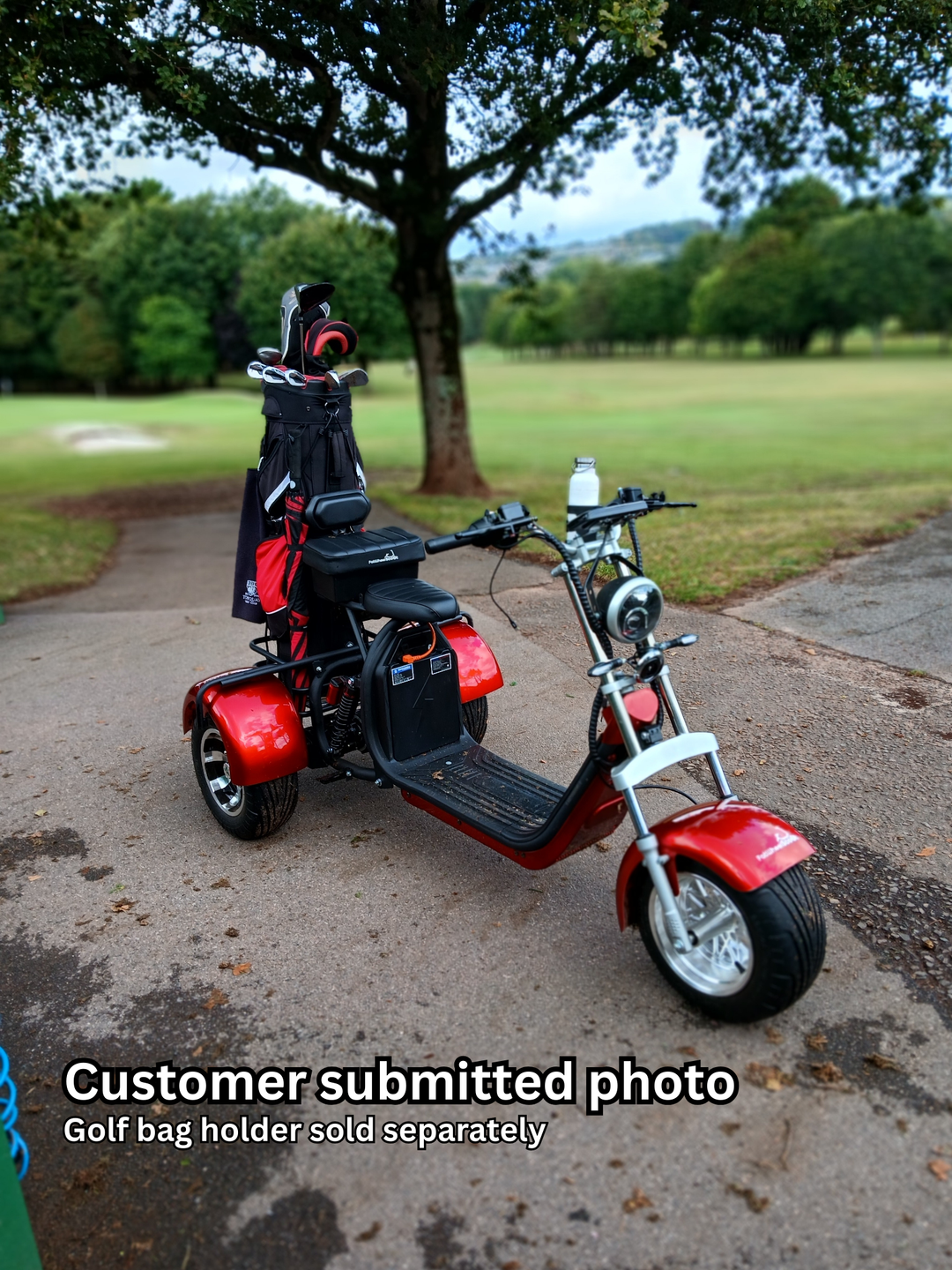 Steed Trike