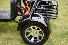 Labicana Trike - STEED