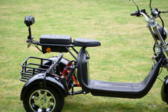 Labicana Trike - STEED