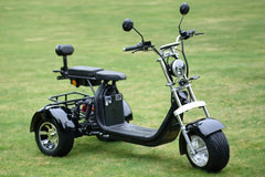 Labicana Trike - STEED