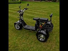 Steed Trike