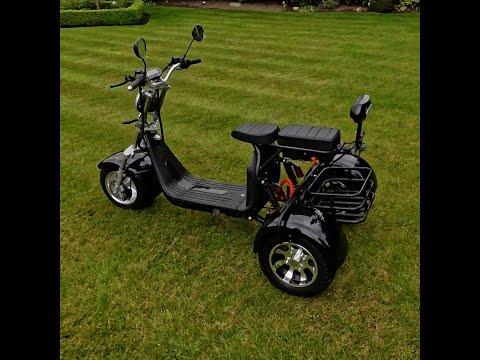 Steed Trike